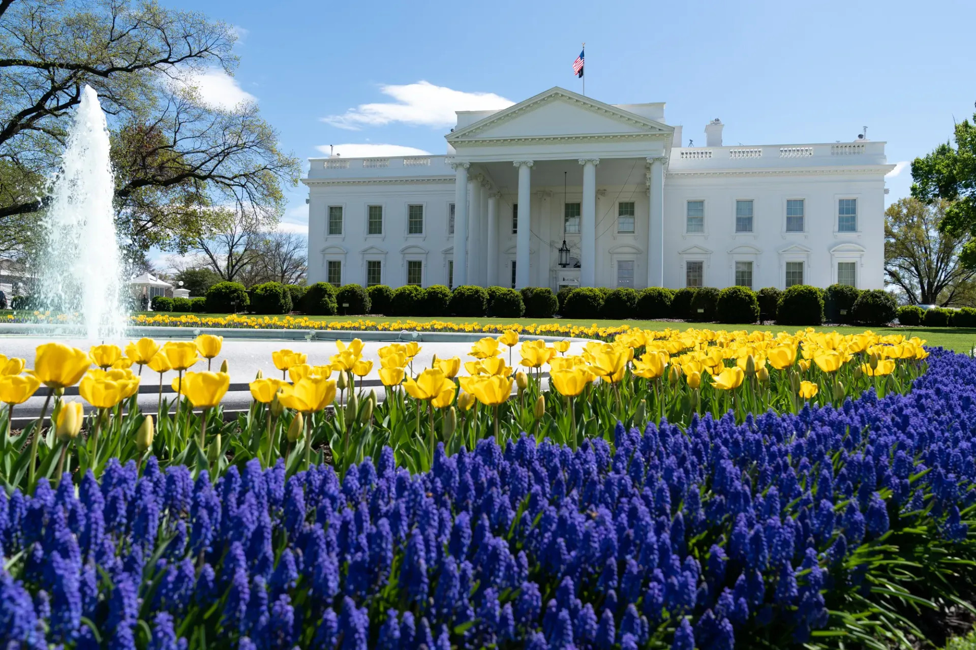 official white house united states of america https://white-house3.webnode.hu/
